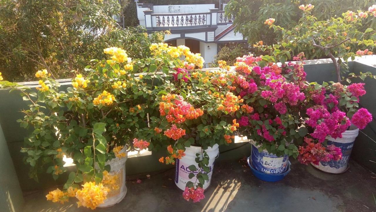 Heavenly Homestay Kochi Bagian luar foto