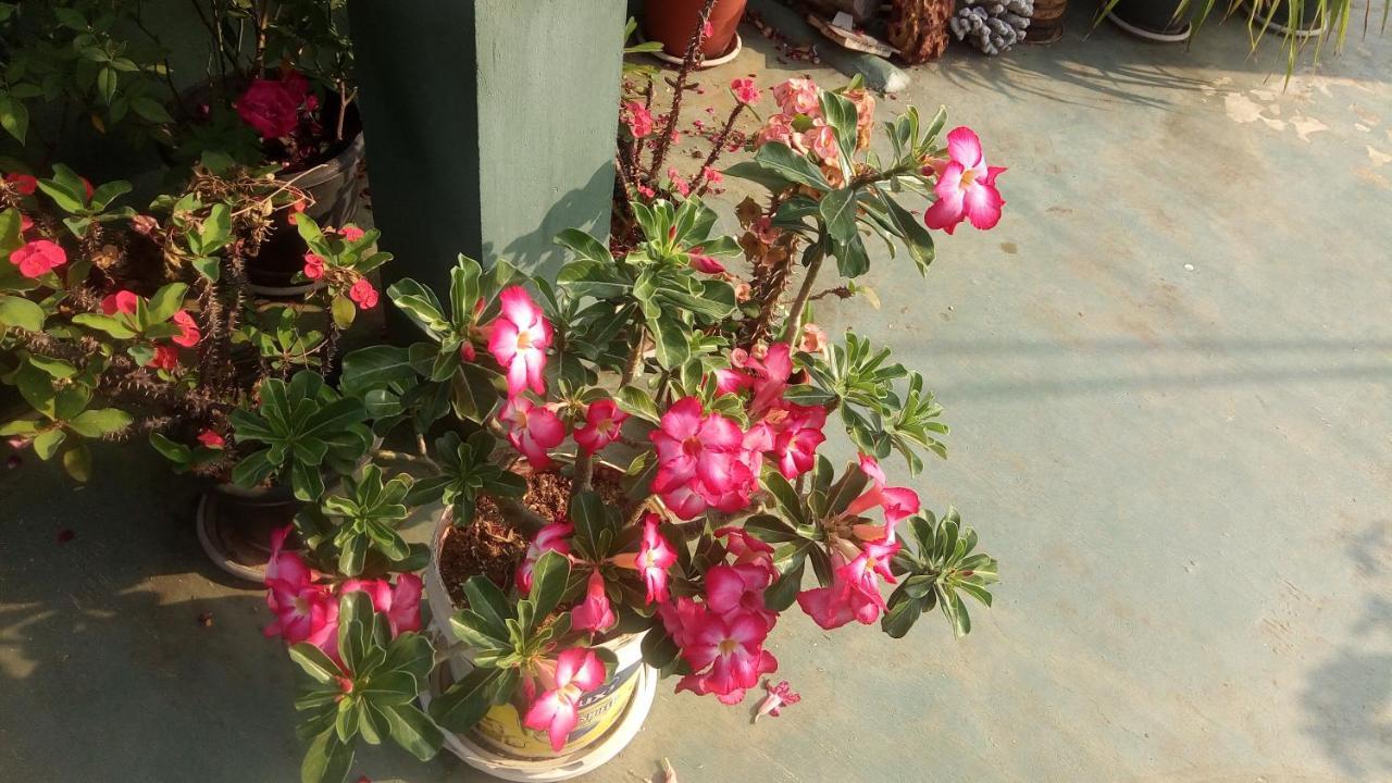 Heavenly Homestay Kochi Bagian luar foto